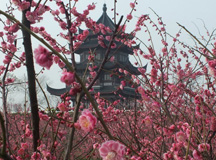 三月女人天，別樣?jì)D女節(jié)